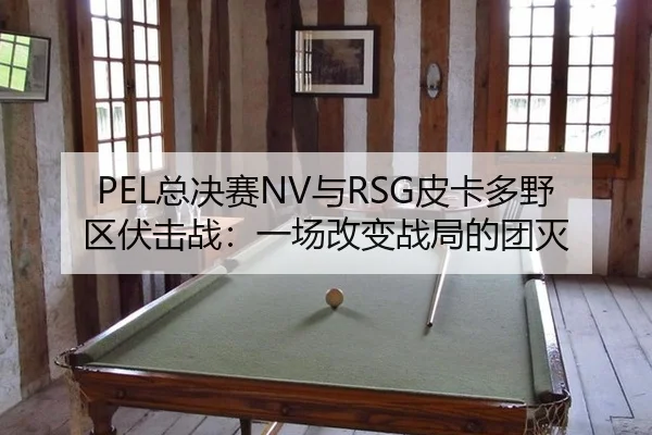zong-jue-sai-yu-pi-ka-duo-ye-qu-fu-ji-zhan-yi-chang-gai-bian-zhan-ju-de-tuan-mie-2-798.jpg