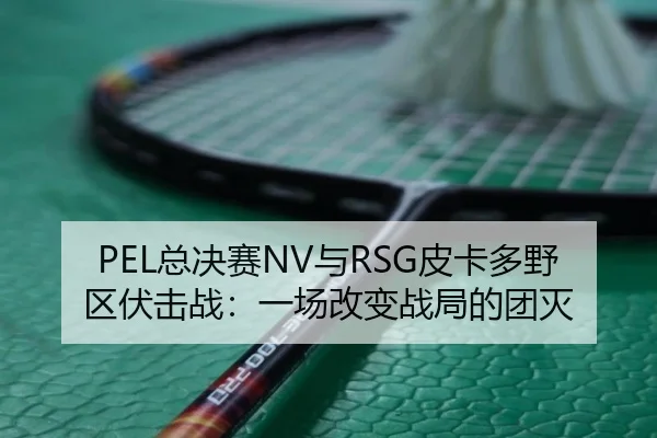 PEL总决赛NV与RSG皮卡多野区伏击战：一场改变战局的团灭