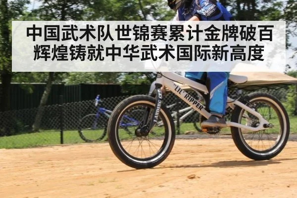 中国武术队世锦赛累计金牌破百辉煌铸就中华武术国际新高度