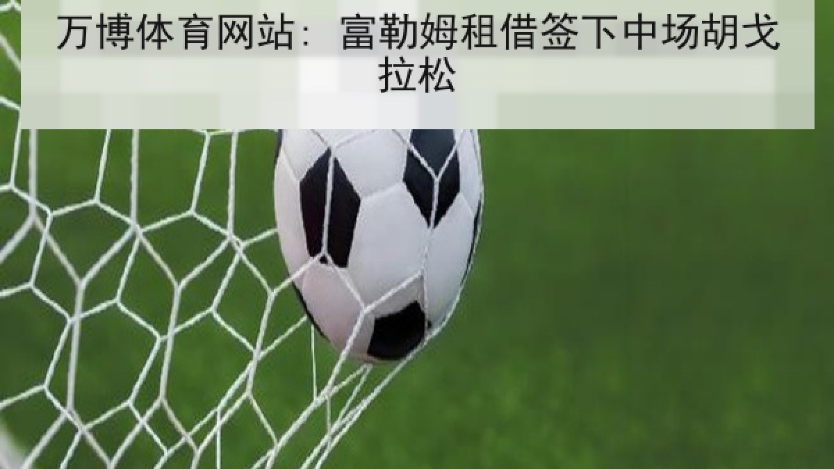 万博体育网站: 富勒姆租借签下中场胡戈拉松
